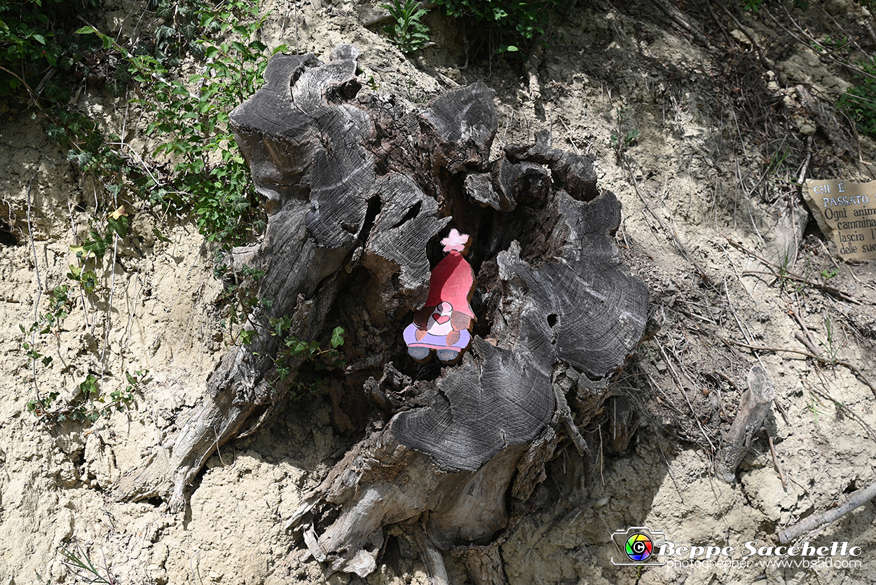 VBS_3134 - Mango (Cuneo) - Gnomovia.jpg